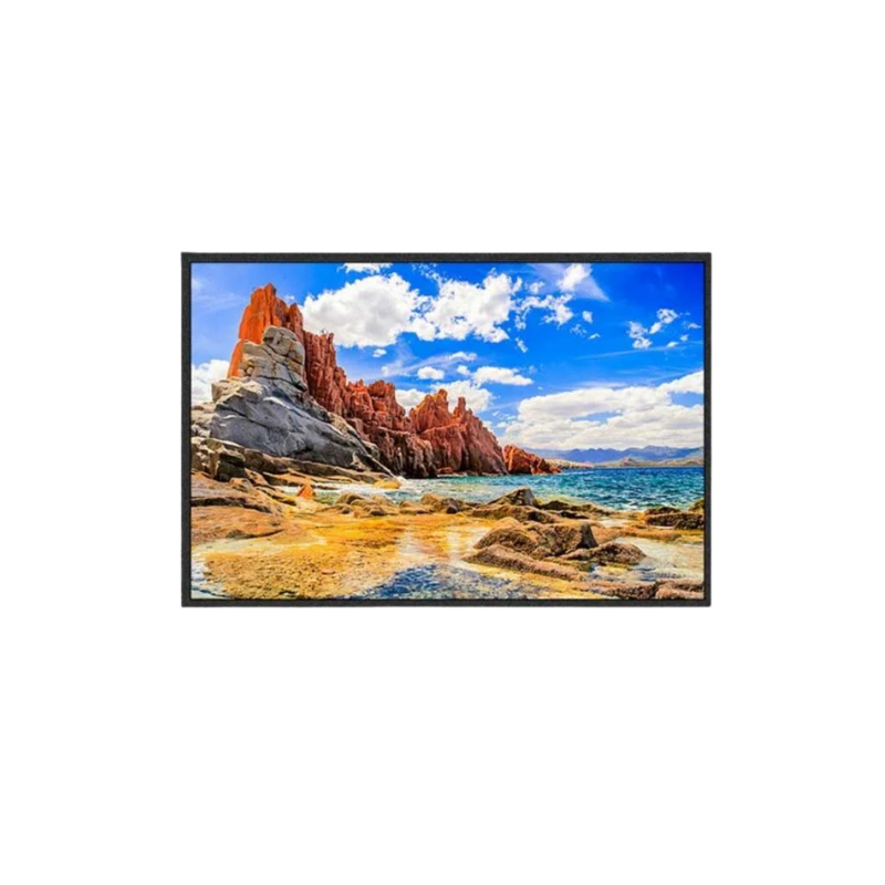 10.1 Inch IPS TFT LCD Display 1280×800 with Optional Capacitive Touch